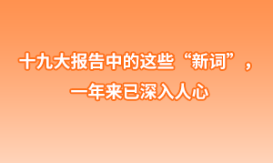 十九大報(bào)告中的這些“新詞”， 一年來(lái)已深入人心