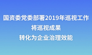國資委黨委部署2019年巡視工作：將巡視成果轉化為企業治理效能