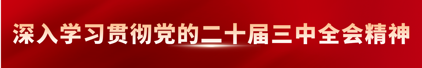 深入學(xué)習(xí)貫徹黨的二十屆三中全會(huì)精神