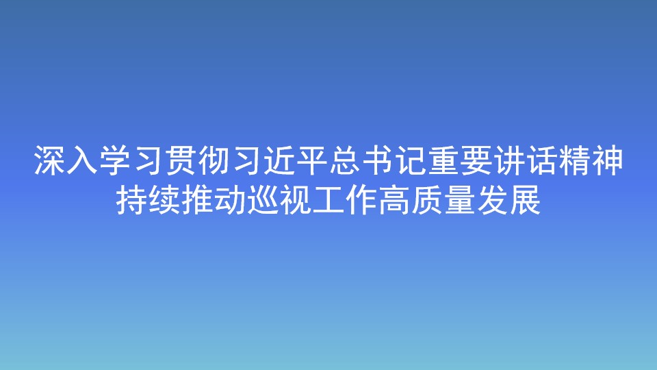 深入學(xué)習(xí)貫徹習(xí)近平總書記重要講話精神 持續(xù)推動巡視工作高質(zhì)量發(fā)展