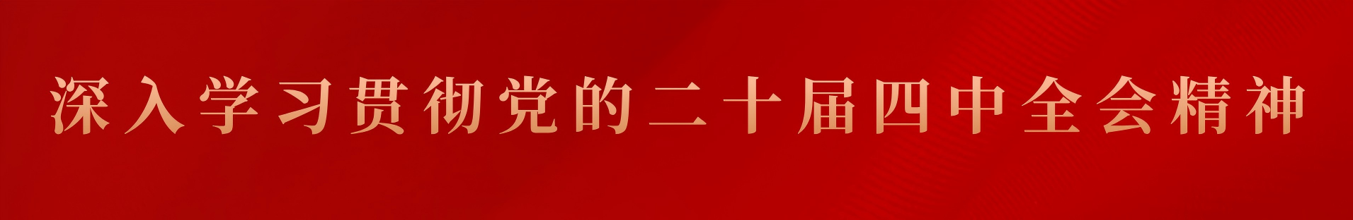 深入學(xué)習(xí)貫徹黨的二十屆四中全會(huì)精神